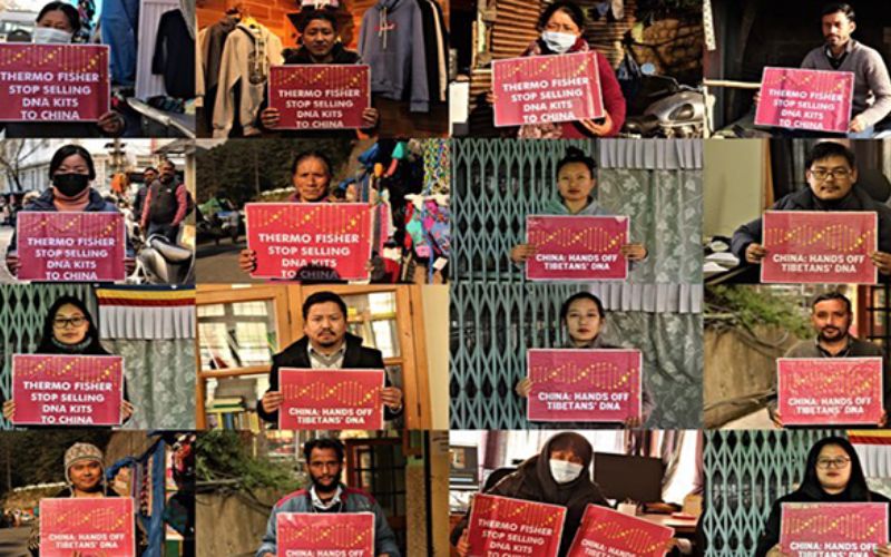 The Tibet Post